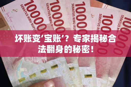 北京坏账变‘宝账’？专家揭秘合法翻身的秘密！
