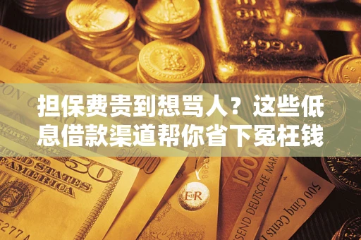 北京担保费贵到想骂人？这些低息借款渠道帮你省下冤枉钱
