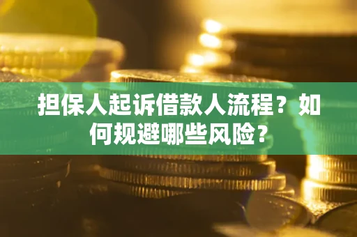 北京担保人起诉借款人流程？如何规避哪些风险？