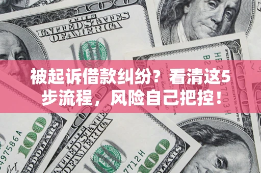 北京被起诉借款纠纷？看清这5步流程，风险自己把控！
